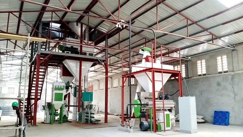 ruminant cattle feed production line installed in Tanzania
